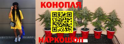 ALPHA-PVP Берёзовский