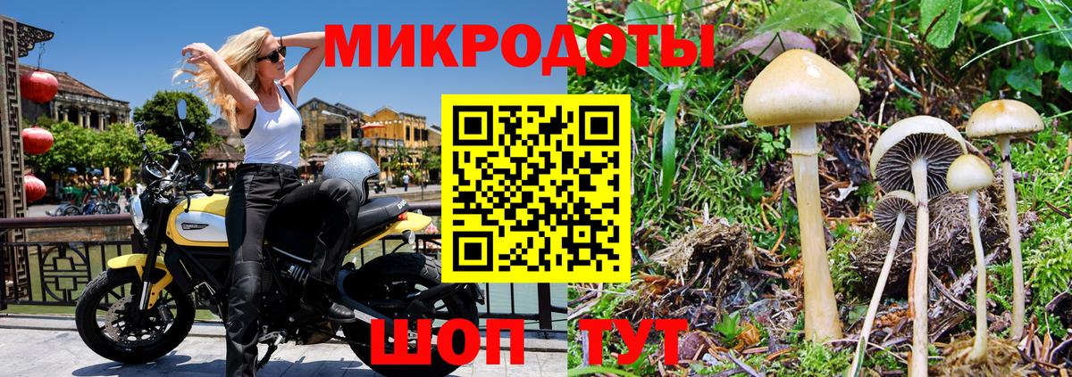 Псилоцибиновые грибы мицелий  Псилоцибиновые грибы Psilocybe  даркнет сайт  Вход с VPN  Ковров 